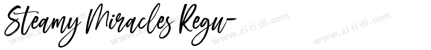 Steamy Miracles Regu字体转换